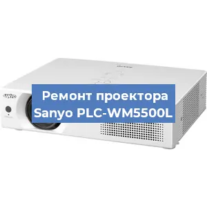 Замена поляризатора на проекторе Sanyo PLC-WM5500L в Тюмени